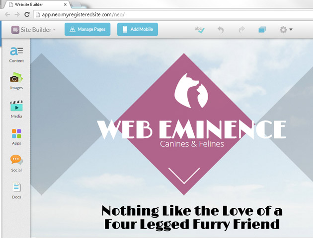 Web.com interface