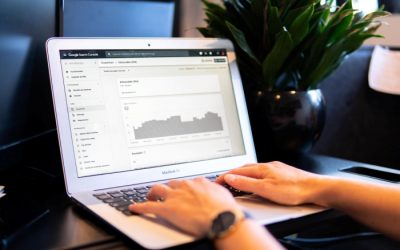 What Is The Best Client Portal Tool For SEO?