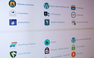 12 Best Import/Export Plugins for WordPress
